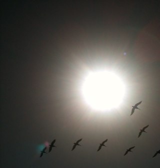 elizaking1's profile picture. Double donor, too many cycles to count, love healthy eating, cooking, beautiful places and all things that bring happiness.