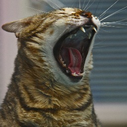 jannesVMblog's profile picture. 