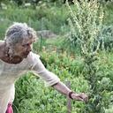 Gail Faith Edwards - @gailea88 - Twitter