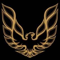 lilbrovirus's profile picture. 3\/3RY D@y 3\/3RY I\/!GHT Listen Music.......
My Life is Music............