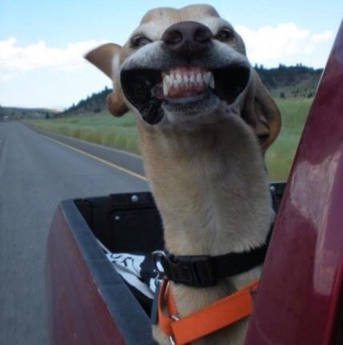 FrontsideC's profile picture. 