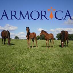 SceaDesPrairies's profile picture. Get all updates from the Jeffroy family's French based racing and breeding operation, breeders of Gr.1 winner Never On Sunday.