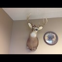 Rick Ball - @BallRick - Twitter