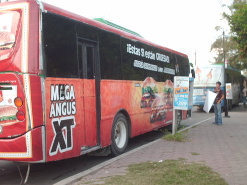 publicista