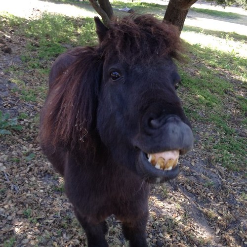 motomathis's profile picture. Equipment Manager and Lead Mechanic for the LUNA Pro Team