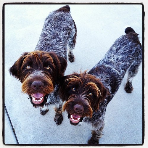 Korweigan's profile picture. I don’t tweet about music. I’m just sad.