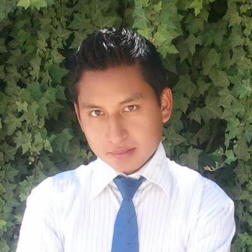 Ingeniero en Redes y Telecomunicaciones