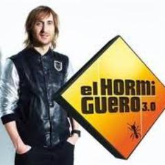 NationGuettaZH's profile picture. Consigamos que @davidguetta vaya como invitado al Hormiguero 3.0 @ZonaHormiguero. #NATIONGUETTA y fans de Guetta ayudarnos