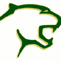 South Cougars(@SouthCougars) 's Twitter Profile Photo