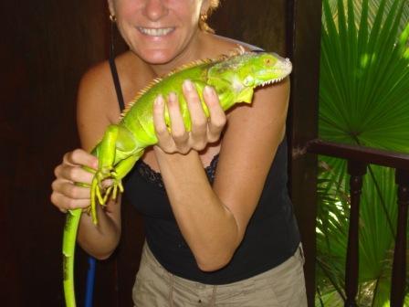 MechapaMama's profile picture. 