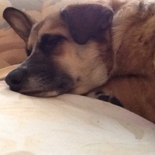 KarleneComfort's profile picture. 