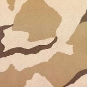 FemOIFVeteran's profile picture. Goal: to give an unvarnished view of what vets DON'T say. 38 y/o OIF Vet, disability, depression & PTSD.