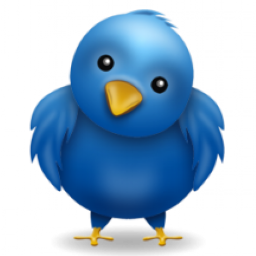 i follow back and get you followers
#TeamFollowBack #FollowBack #mustfollow #teamfollowback #nowfollowing #followngain #500aday #instantfollow #follownow