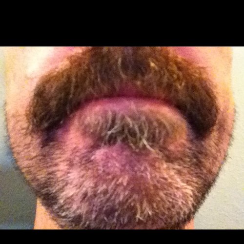 steevsstache's profile picture. 