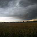 Connie Wolf - @WolfInsuranceMT - Twitter