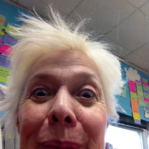 Teacher, 28 years in Public Education