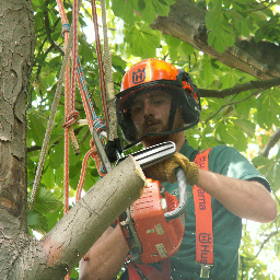 Professional contracting & consulting arborist, delivering world class service, growing through innovation, using the best techniques in the industry.