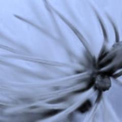 Qualifed in The Bowen Technique, Reiki and other Alternative Therapies.  Passionate about helping others improve their quality of life. 
Tel.07900 653219