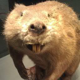Why are you people still here? Get off my lawn! Unsingle, curmudgeon introvert.