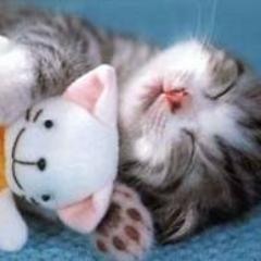 ♥#omdatthetkan_♥ Mede mogelijk gemaakt door peijnenburg. #omdatthetkan_ ♥ Zwerver zijn #omdatthetkan_ ♥ Rijk zijn #omdatthetkan_ ♥ anything can if you believe ♥