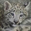 donna greenfield - @dawna617 - Twitter