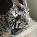 Nikki Craig - @Nikkicraig13 - Twitter