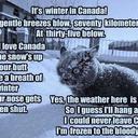 corinne alexander - @corinnealexande - Twitter