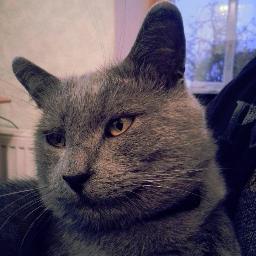 dj_os's profile picture. 