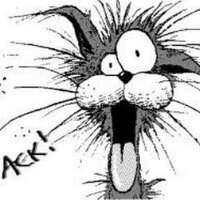 feargal the cat (@feargalthecat) 's Twitter Profile