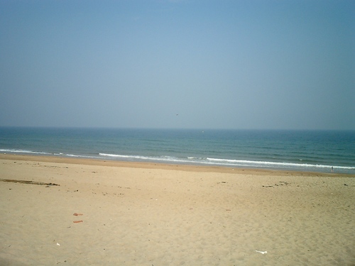 been to uni, been to sea, love books, seasides, cities, beach combing