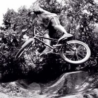 ALBREEZY (@joeyalbright) Twitter profile photo