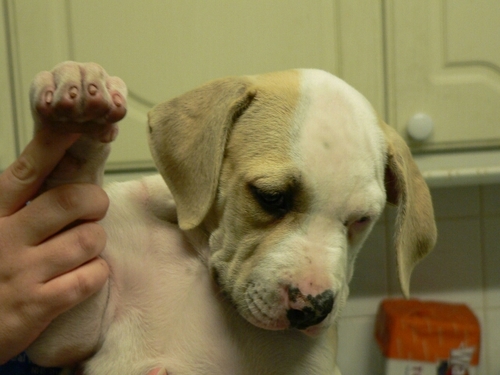 BigG2's profile picture. 