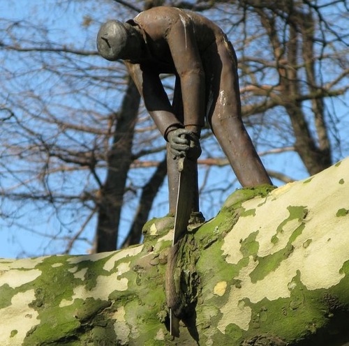 Urban forester, motorsport fan and volunteer. Interested in the environment, art and politics.