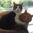 Connie Bravo - @faith31981 - Twitter