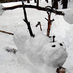 Snow Bro (@gosnowbro) Twitter profile photo