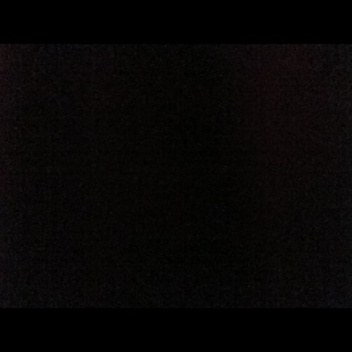 Nickylovee's profile picture. 