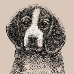 I am a painter and illustrator. Really love drawing and painting.