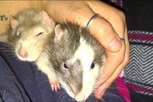 AnnaMondavi's profile picture. 