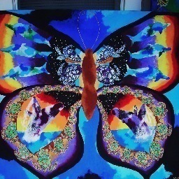 cricketniche's profile picture. 