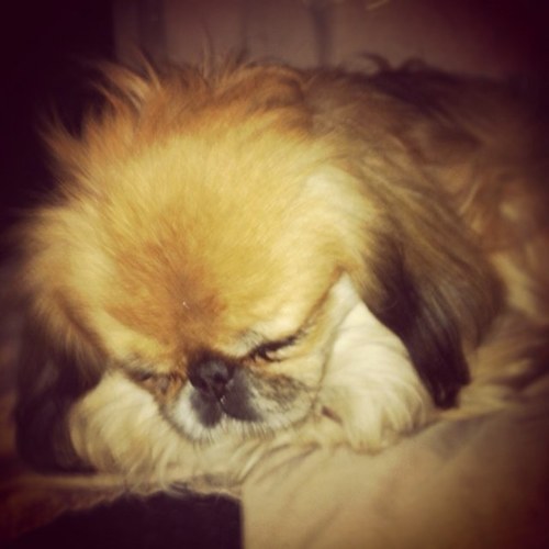 erika_fortin's profile picture. Work at Public Outreach. Going to Film School. Live in Toronto.