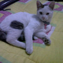 William aparicio - @william059 - Twitter