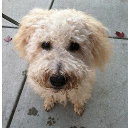 nedc203's profile picture. 