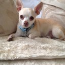 Amanda Joan Budd - @mandybudd - Twitter