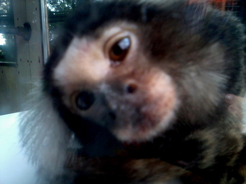 dawngunnell's profile picture. cool