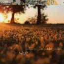 أشد الخذلان ، ان يخذلك الشخص الذي طالما حكيت له عن خذلان الآخرين لك ..!