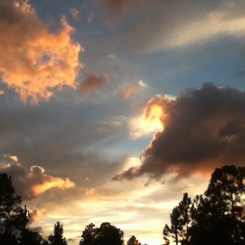 Toxicbatman489G's profile picture. 16 Male 5 ft 2 in loves music and officially loves coconut water!