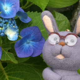 morinousajii's profile picture. 音楽の森、生活の森、心の森に棲む夢見る言霊。生きるとはモーツァルトが聴けることだ(ストライクゾーン広め)。非ブルジョア階層。悲しみの中道ハト派。風邪は働きながら治す(しかない)主義。無害化オプション機能付き。