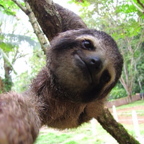 customphonecas's profile picture. @customphonecas ғᴏʟʟᴏᴡs ʏᴏᴜ