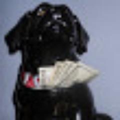 CookieJarMoney Profile Picture