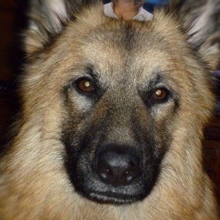 jcuartasg's profile picture. 